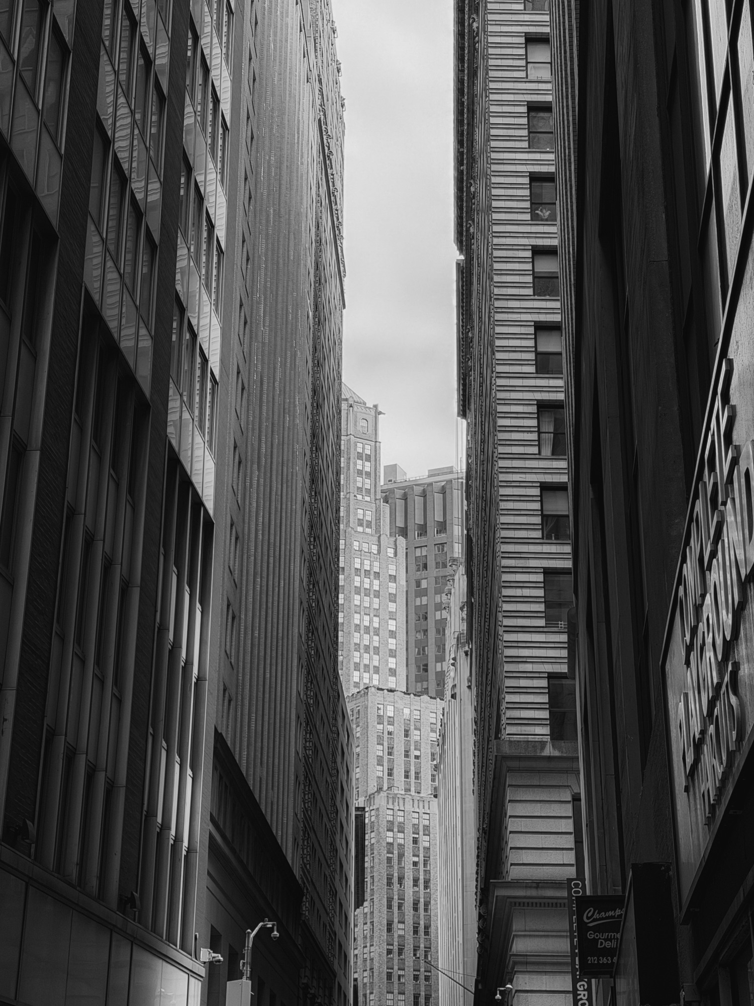 img_8607